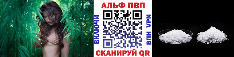 ссылка на мегу ССЫЛКА  дарнет шоп  Чаплыгин  А ПВП СК 