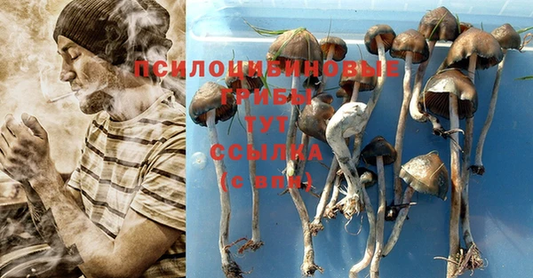 молекула духа Алексин