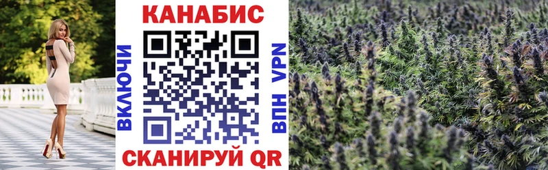 Бошки Шишки Amnesia Чаплыгин